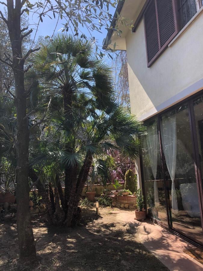La Villa Bianca - Appartamento In Villa Sesto Fiorentino Exteriör bild
