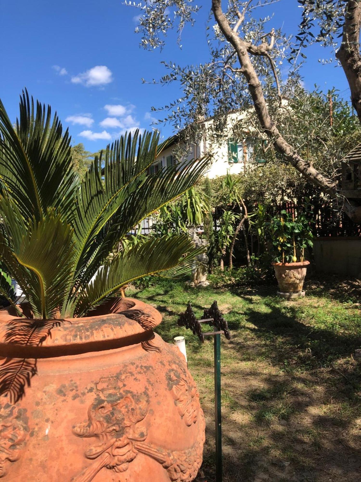 La Villa Bianca - Appartamento In Villa Sesto Fiorentino Exteriör bild