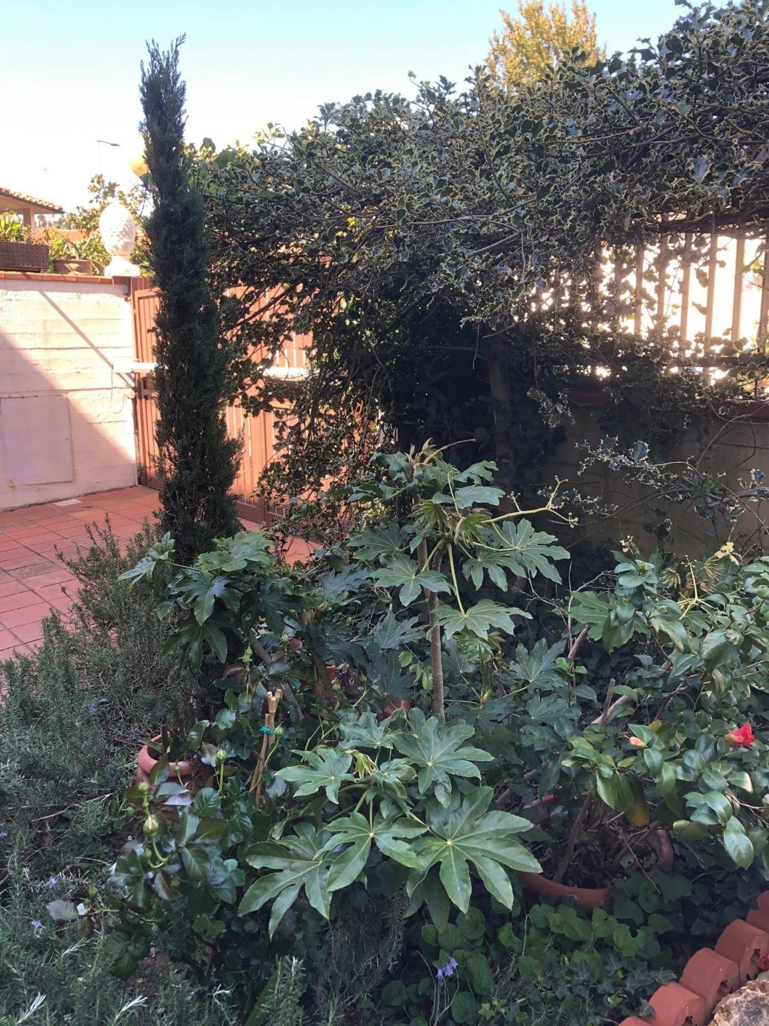 La Villa Bianca - Appartamento In Villa Sesto Fiorentino Exteriör bild