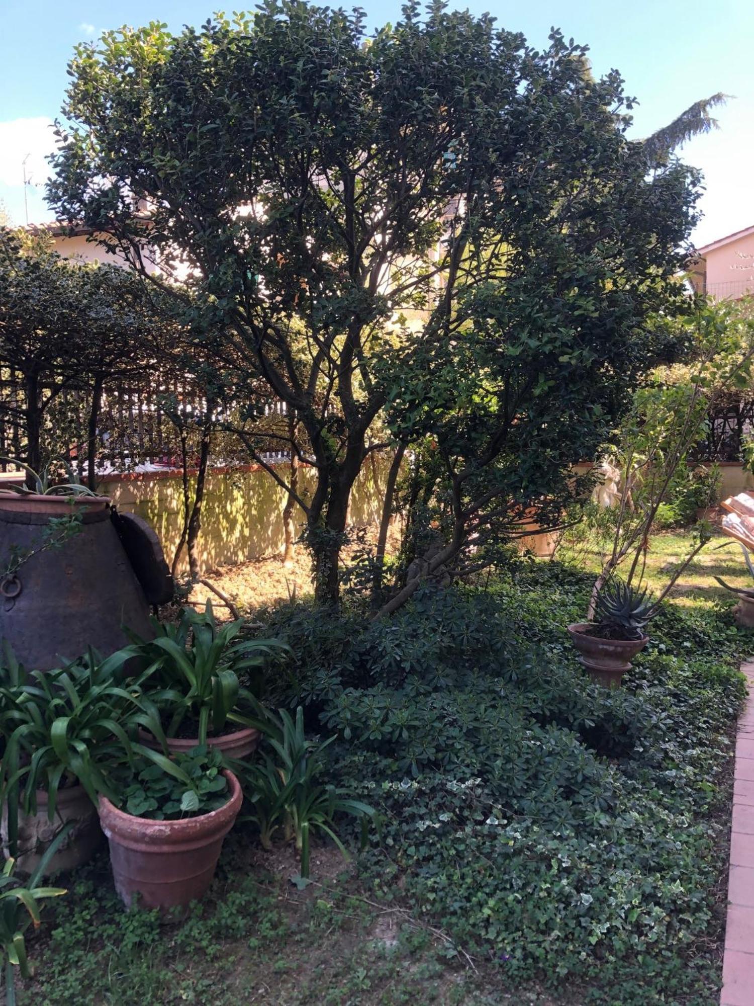 La Villa Bianca - Appartamento In Villa Sesto Fiorentino Exteriör bild